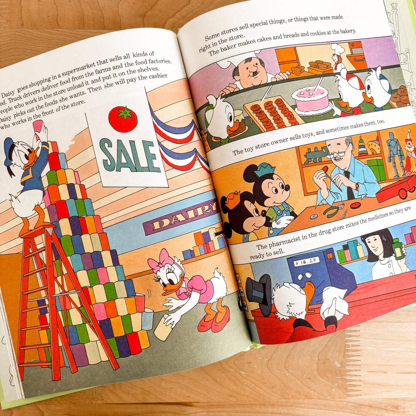 Walt Disney People at Work - Fun To Learn Library Vol 14 Hardcover Book