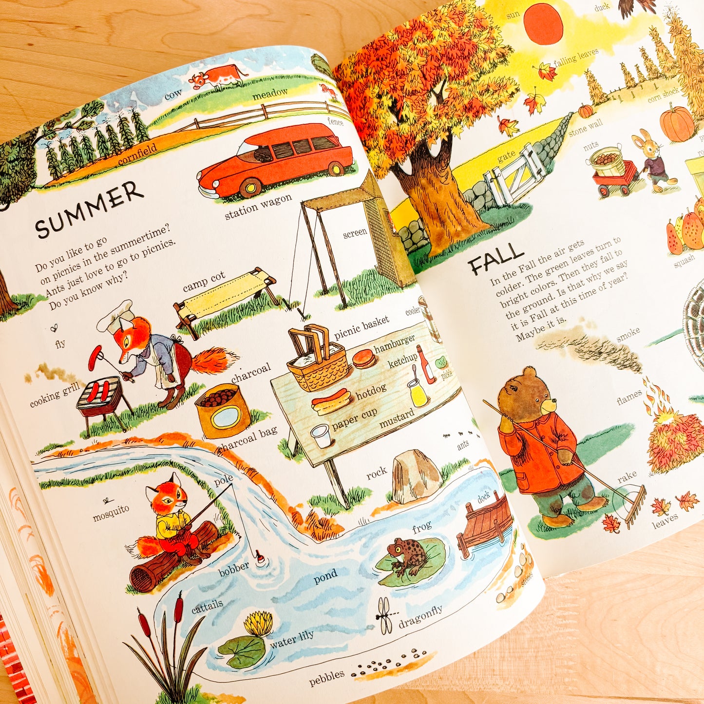 Richard Scarry's Things to Know (Golden Book, 1971)