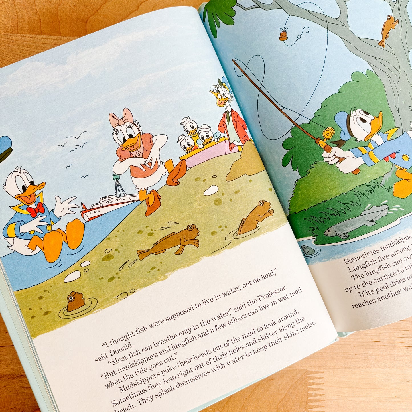 Walt Disney From Whales to Snails - Fun To Learn Library Vol 8 Hardcover Book