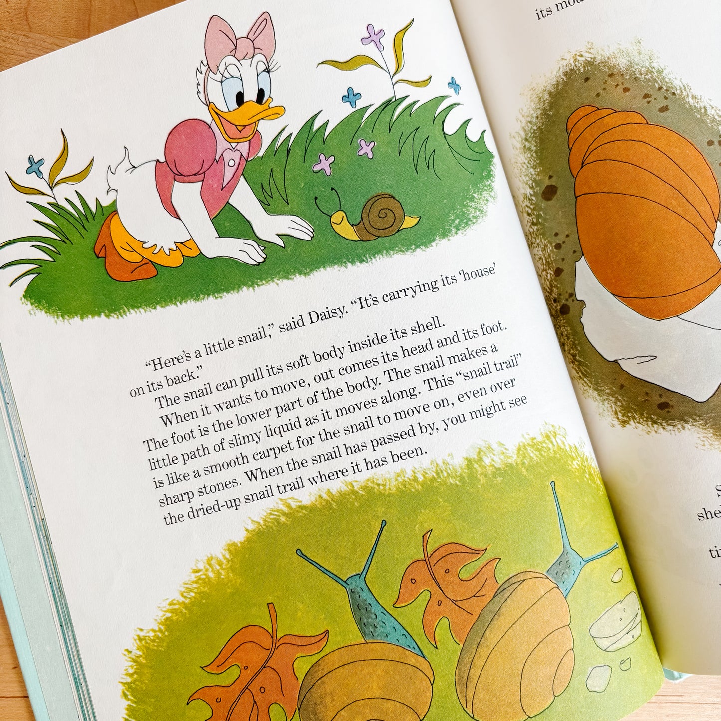 Walt Disney From Whales to Snails - Fun To Learn Library Vol 8 Hardcover Book