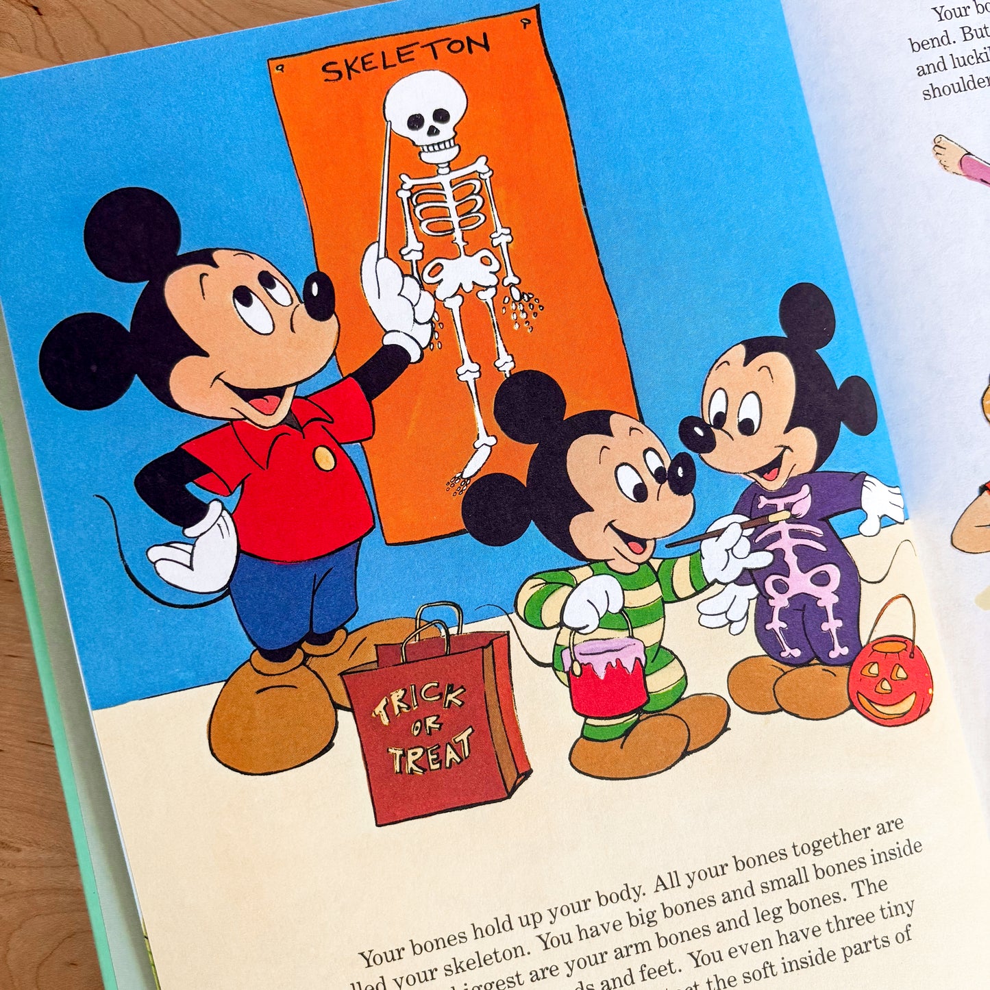 Walt Disney All About You - Fun To Learn Library Vol 11 Hardcover Book