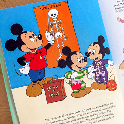 Walt Disney All About You - Fun To Learn Library Vol 11 Hardcover Book