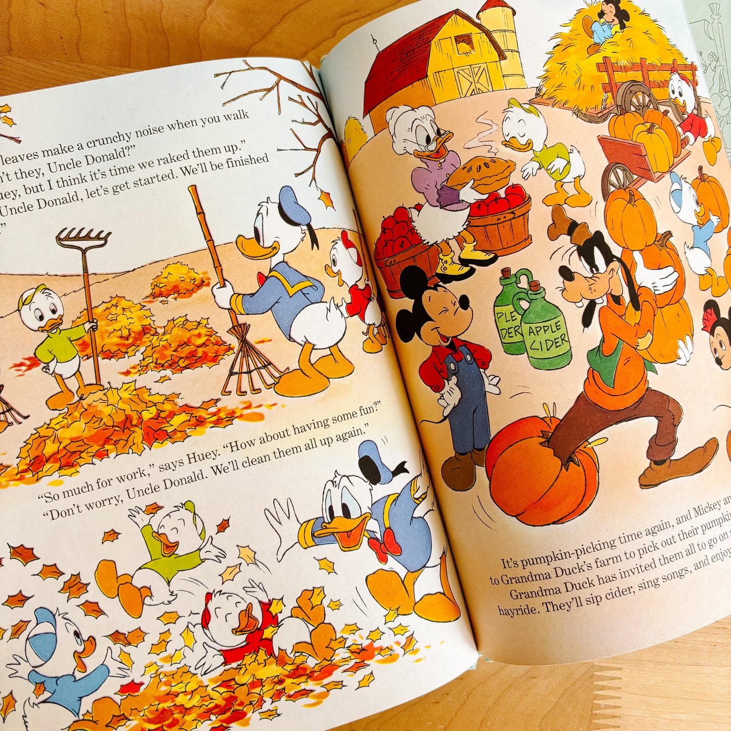 Walt Disney Seasons and Holidays - Fun To Learn Library Vol 13 Hardcover Book