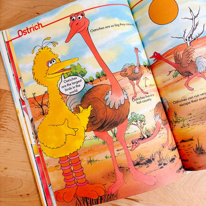 Sesame Street Finding Out Encyclopedia - The NO Book - Vol 9 (1982)