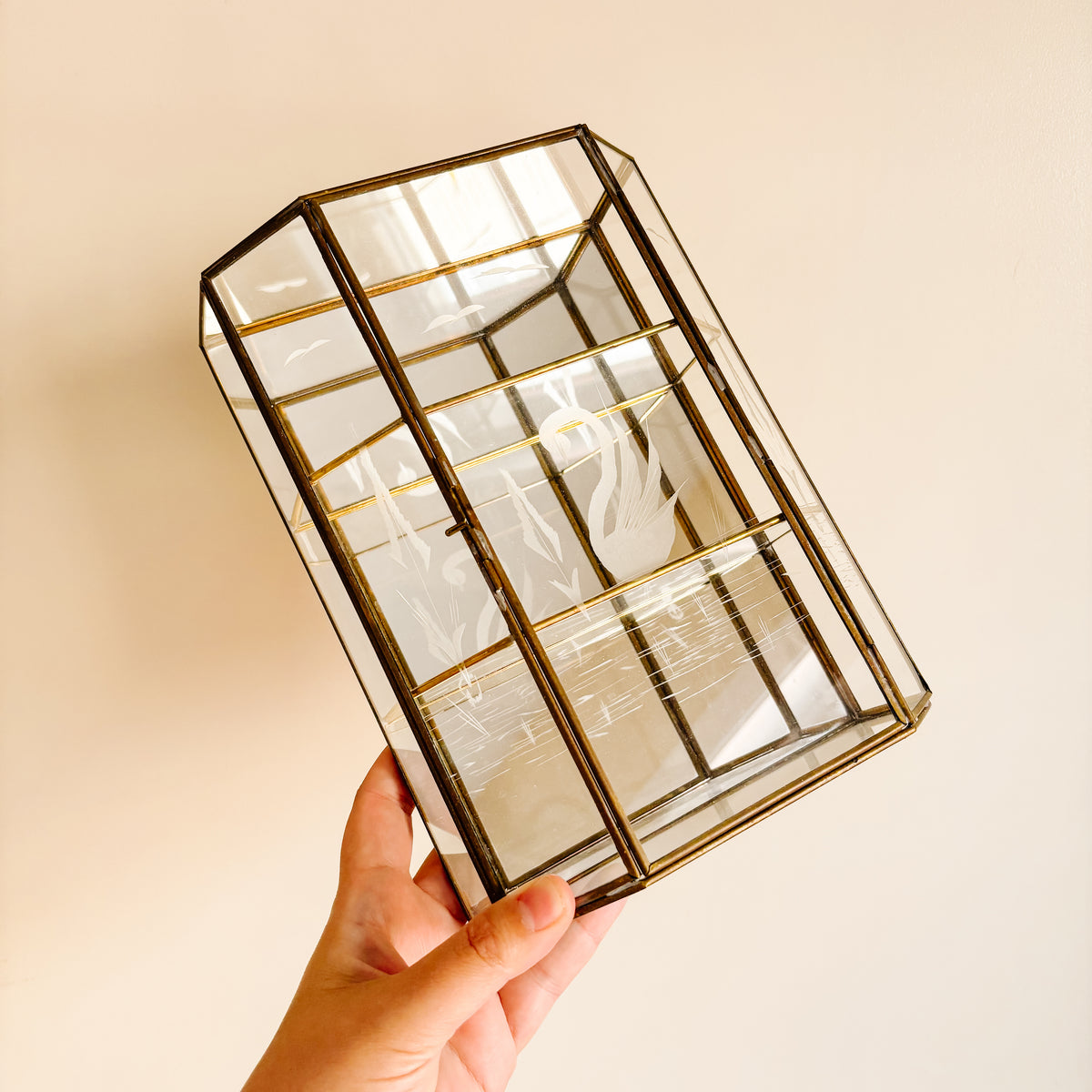 Vintage Brass and Glass Curio Display Case with Swan Etching - Hanging or Tabletop