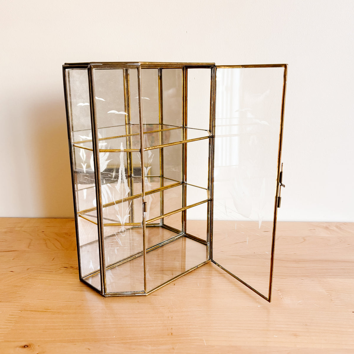 Vintage Brass and Glass Curio Display Case with Swan Etching - Hanging or Tabletop