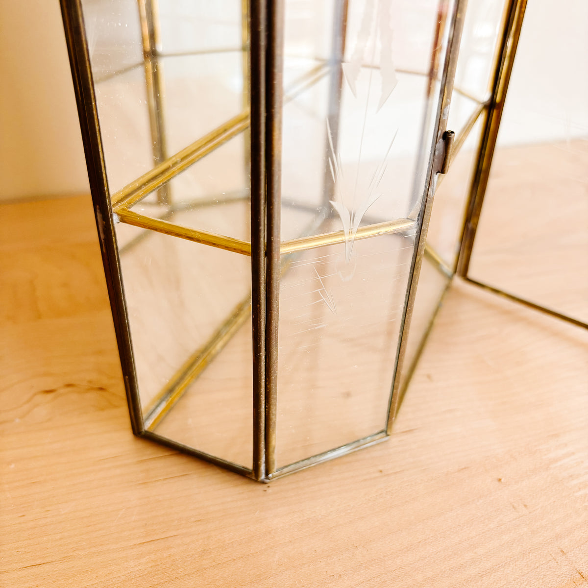Vintage Brass and Glass Curio Display Case with Swan Etching - Hanging or Tabletop